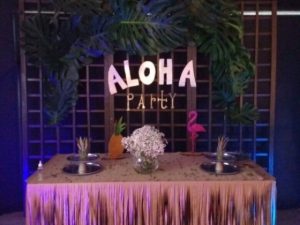 Ideias de Festas na Piscina 2020, Decoração de Festas na Piscina 2020 , Temas de Festas na Piscina 2020