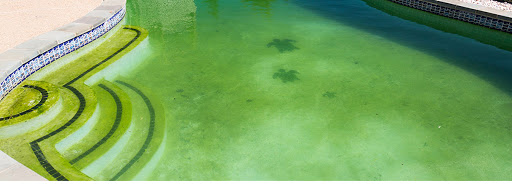 Manutenção Emergencial de Piscinas em São Paulo, Limpeza Manutenção de Piscinas em São Paulo